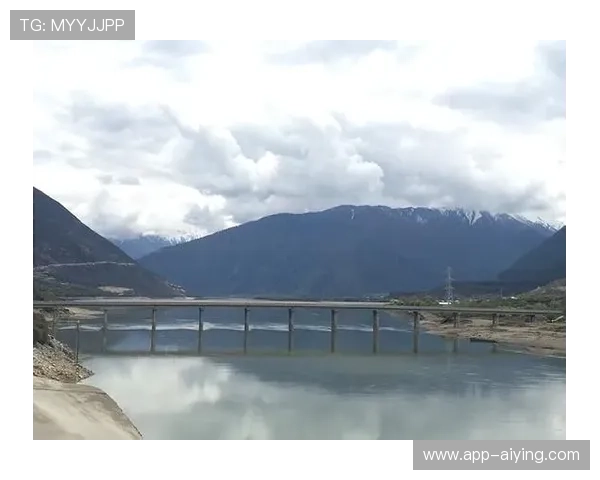 揭开开云体育网页版的神秘面纱，了解背后的技术支持