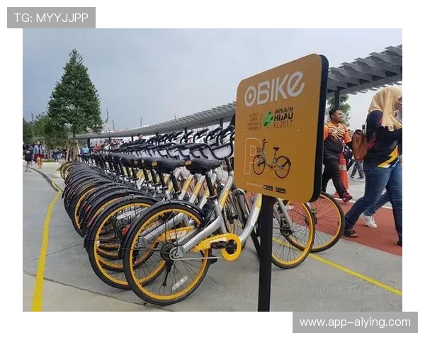 解析mk中国体育官网的安全性与可信赖性，保障用户信息的安全与隐私