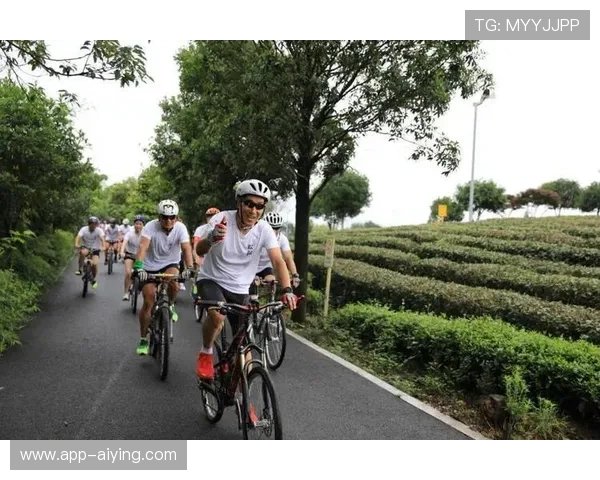 开元体育娱乐:用户如何通过平台享受高品质体育赛事与娱乐内容 开元体育娱乐:用户如何通过平台享受高品质体育赛事与娱乐内容